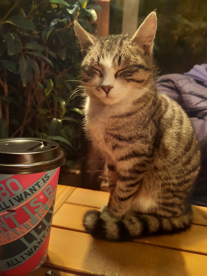 Cafede masama bir misafir geldi. Sizce kahvemi paylaşmalı mıyım😂?