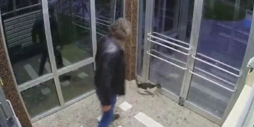 İstanbulda kediye tekme atan saldırgan tutuklandı! Kararı nasıl buldunuz?