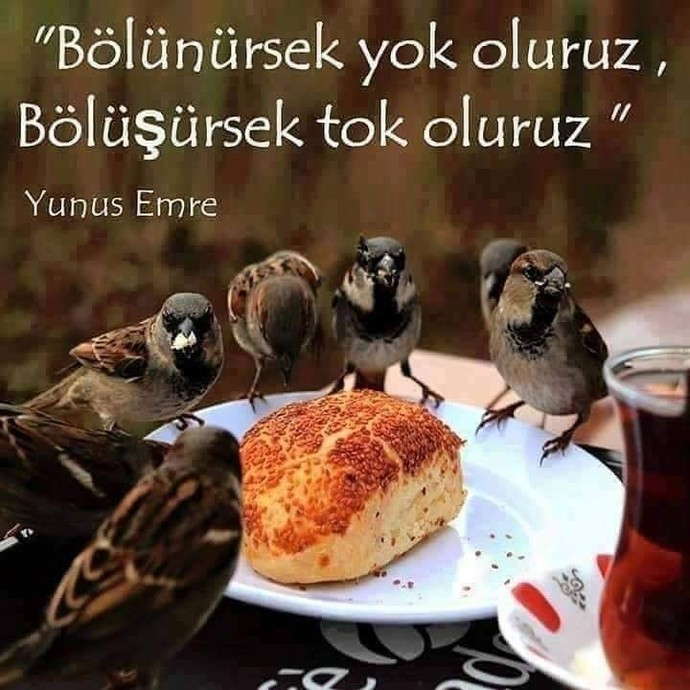 Mutluluk, paylaşılmak için mi yaratılmıştır?