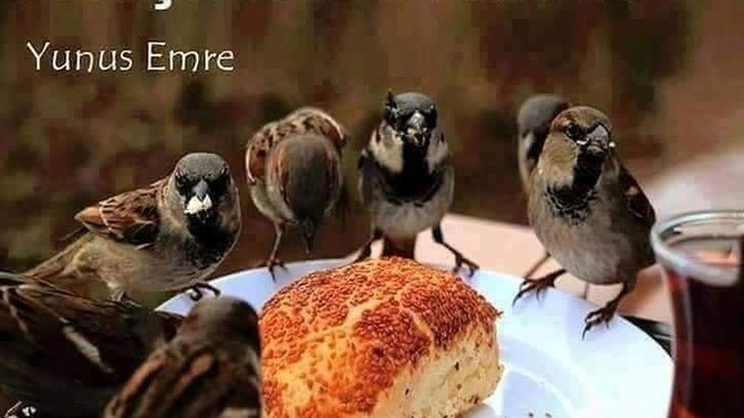 Mutluluk, paylaşılmak için mi yaratılmıştır?