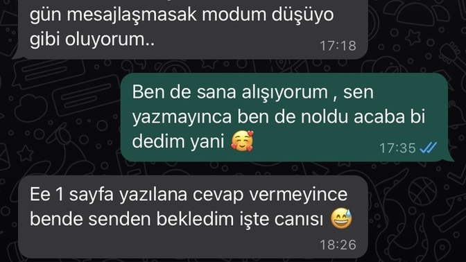 Alıştım demesi ne anlamda?
