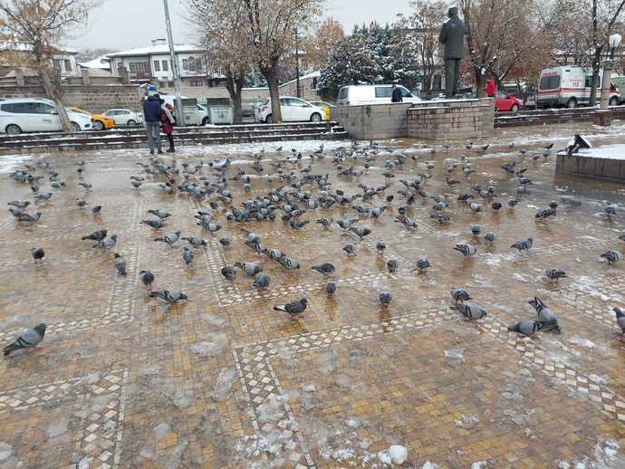 Bu yıl kar manzaralı fotoğraf çektiniz mi?