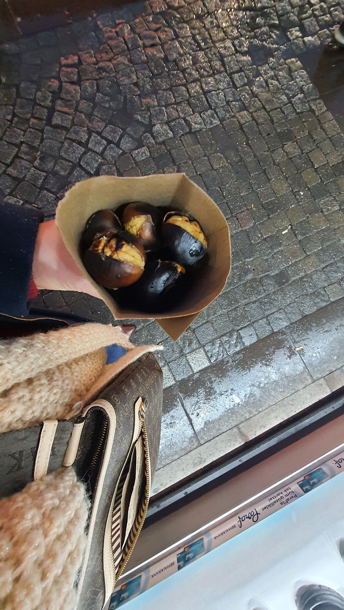 Sokak lezzetlerinden hangisini seviyorsunuz?