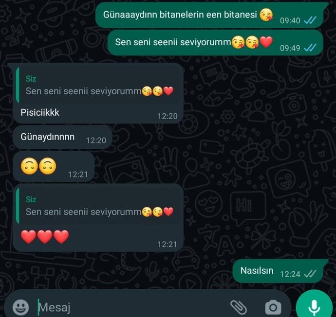 Sevgilimin mesajıma böyle cevap vermeleri beni sevmediği anlamına mı geliyor?