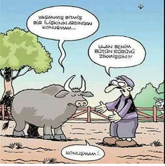 Bana hiçbir erkek yetmiyor, istekleri az geliyor. Ne önerirsiniz?