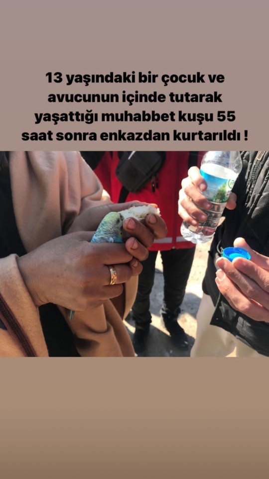 Depremden etkilenen evcil hayvanınızı düşünür müsünüz?