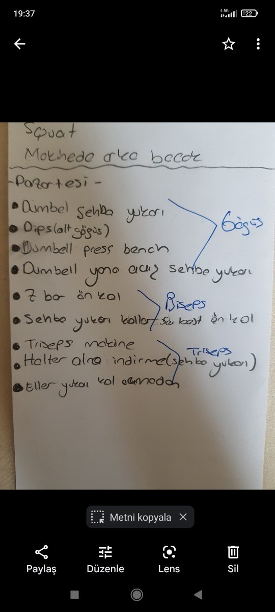 Yaklaşık 1.5 aydır full body çalışıyorum. Bölgesel antremana geçicem Göğüs/Triceps. Sırt/Biceps. Omuz/Bacak. Program yazar mısını?