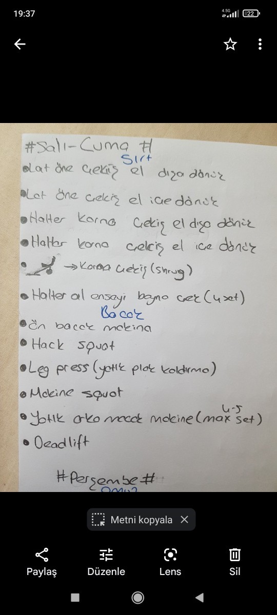 Yaklaşık 1.5 aydır full body çalışıyorum. Bölgesel antremana geçicem Göğüs/Triceps. Sırt/Biceps. Omuz/Bacak. Program yazar mısını?