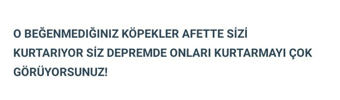 Depremde kurtarılan hayvanlar size tebessüm ettiriyor mu?
