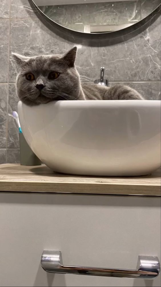 Ben bunu yiyeyim mi 🥰?