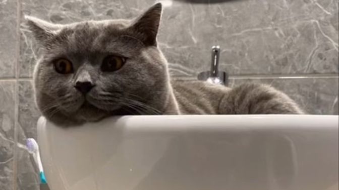 Ben bunu yiyeyim mi 🥰?