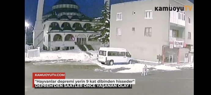 Hayvanlar depremi önceden hisseder mi?