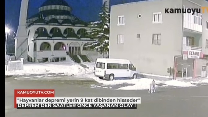 Hayvanlar depremi önceden hisseder mi?