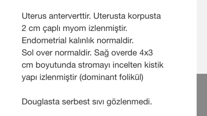Jinekoloji muayenesinde ultrasona girdim. Sonuç bu çıktı. Ciddi midir?