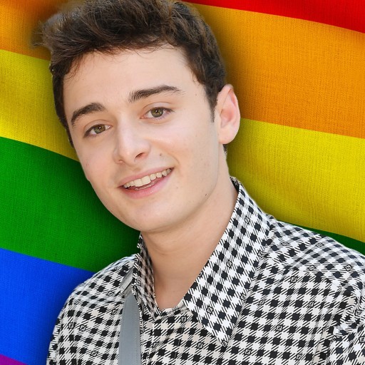 Noah Schnapp gay oldugunu acikladi. Ne dusunuyorsunuz?