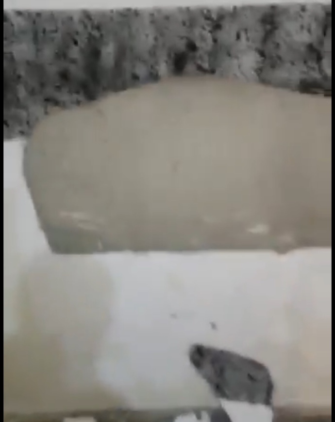 Binamız çok hasarlı mı sizce?