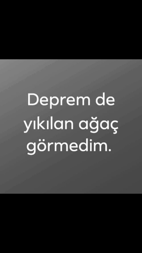 Depremde ağaç yıkılır mı?
