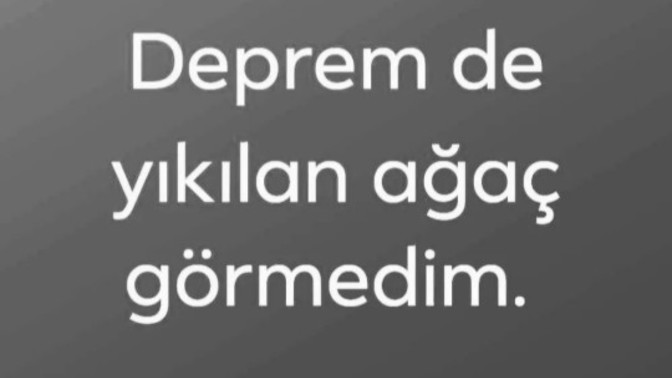 Depremde ağaç yıkılır mı?