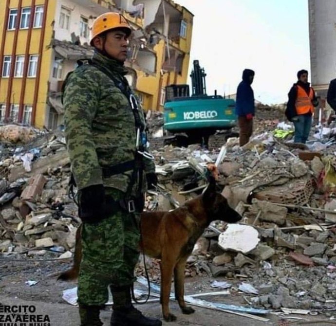Meksika’dan gelen kurtarma köpeği Proteo hayatını kaybetti. Depremde hayat kurtaran can dostlarımıza bir teşekkür eder miyiz?
