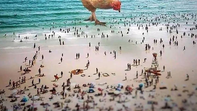 Aşağıdaki özelliklerden hangisini insanlardan kaldırmak isterdiniz?