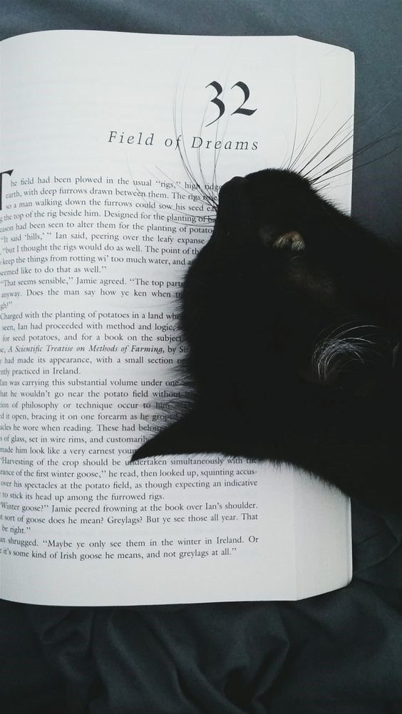Herkesin okumasını istediğiniz bir kitap var mı?