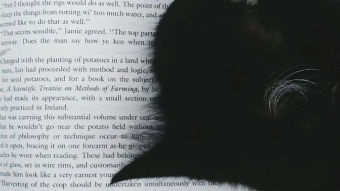 Herkesin okumasını istediğiniz bir kitap var mı?
