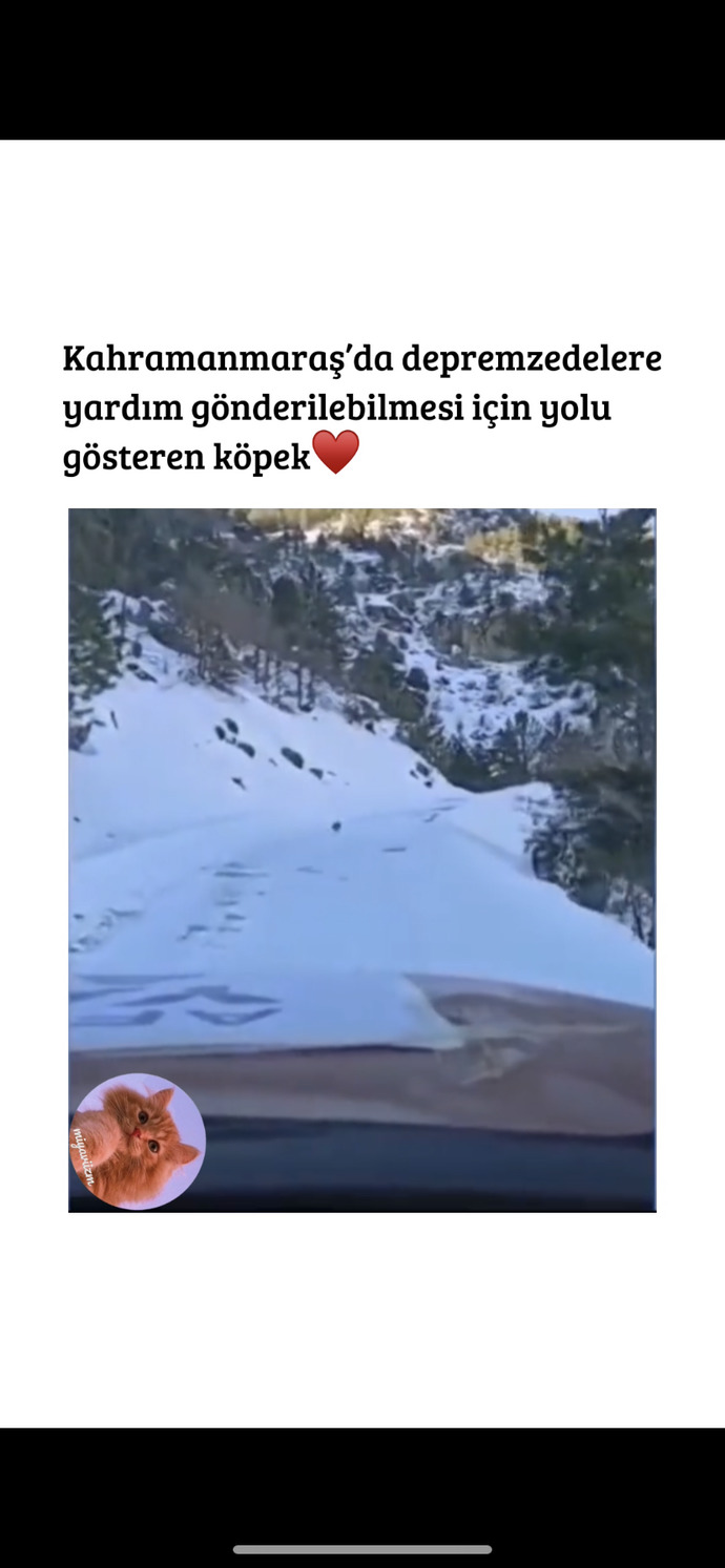 Varolan videoyu nasıl özgünleştirebilirim?