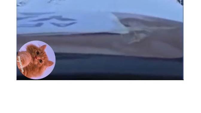 Varolan videoyu nasıl özgünleştirebilirim?