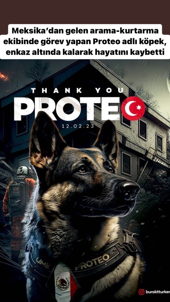 İnsanlara Köpek! derken iki kere mi düşünsek?