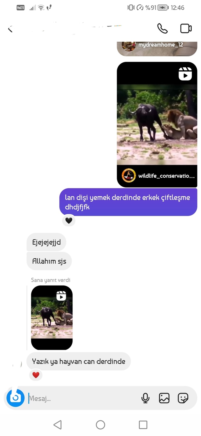 Hayvan da olsa insan da olsa erkeklerin öncelik verdiği şeyler aynı mı?