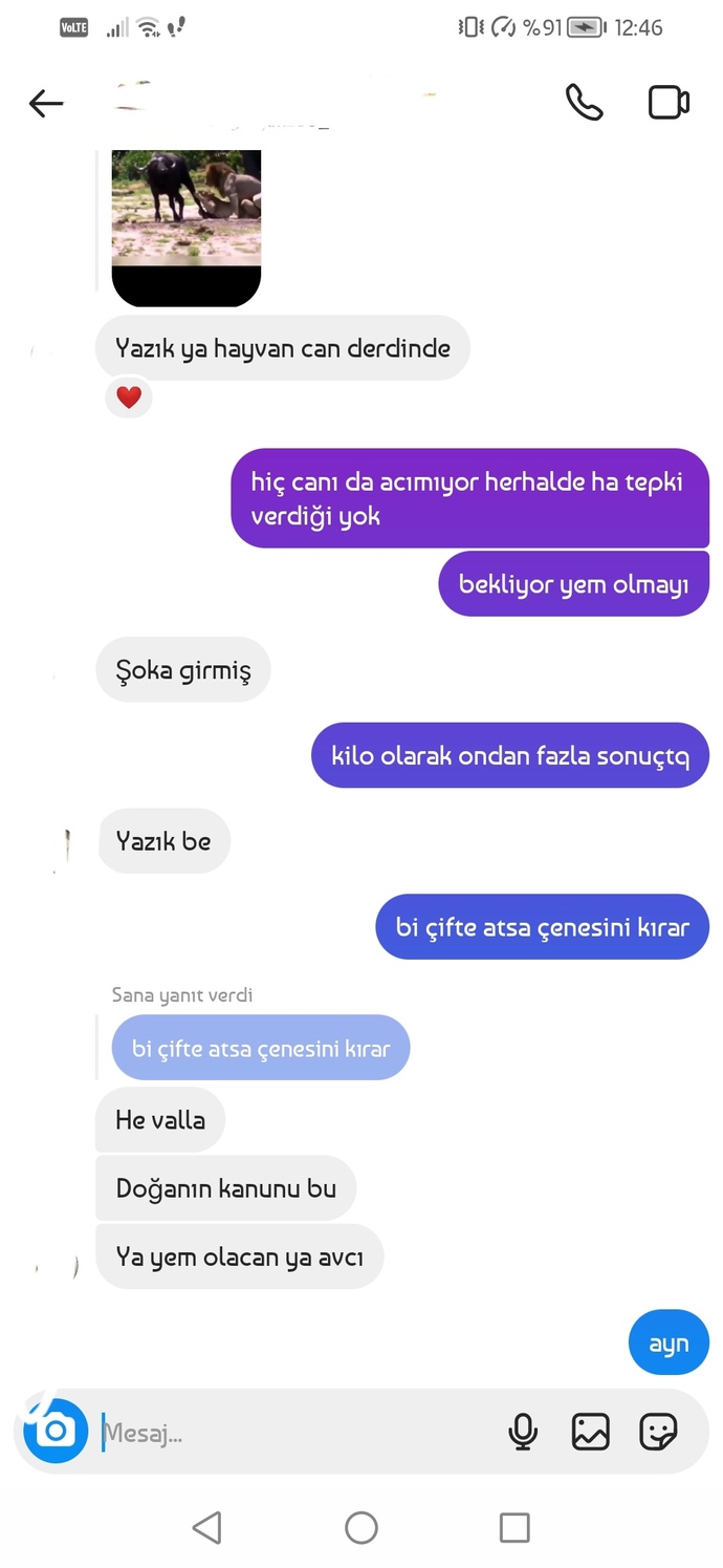 Hayvan da olsa insan da olsa erkeklerin öncelik verdiği şeyler aynı mı?