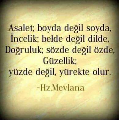 Yani kendine bak, boyuna değil