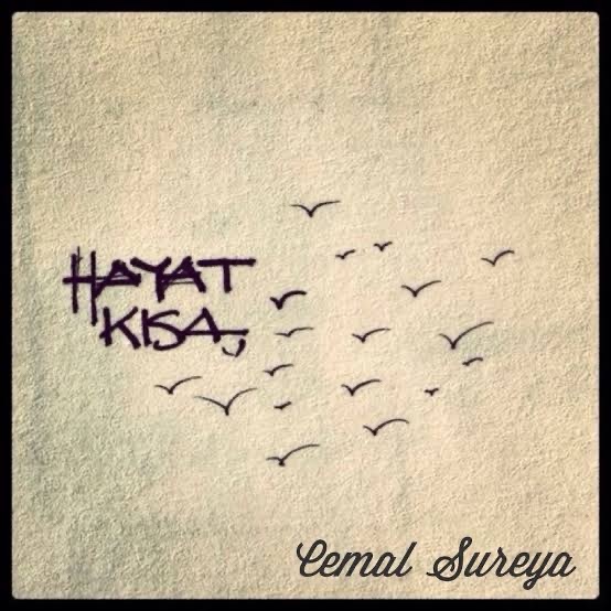 Duyguları en iyi ifade eden sanat dalı sizce hangisi?
