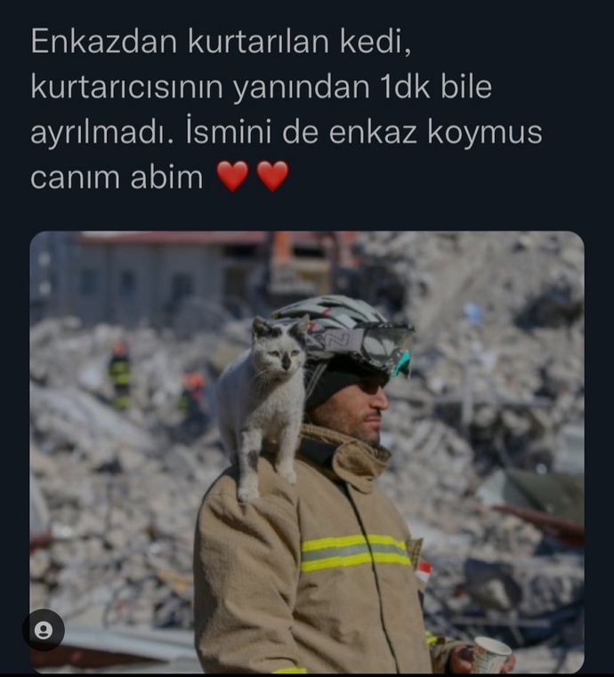 Hayvanlara nankör derler, sizce insanlardan daha vefalı değiller mi?