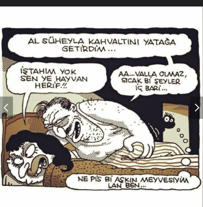 Cinsel ilişkiye sizce mizah katılır mı?
