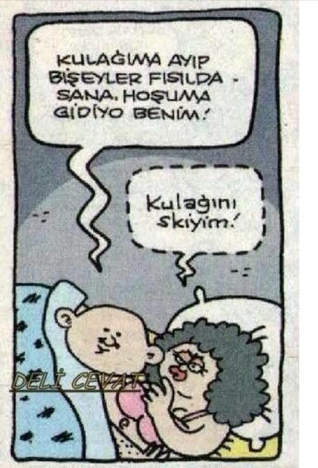 Cinsel ilişkiye sizce mizah katılır mı?