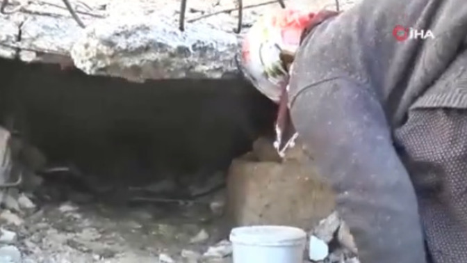 İneği enkaz altında kalan teyzemiz, her gün enkazın altından sürünerek ineğini besliyor. Böyle vicdanlı insanları gördükçe içiniz sızlıyor mu?