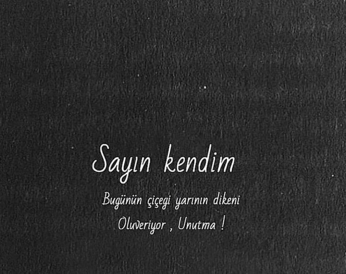 Kendini tek bir resimle, yazıyla özetler misin?