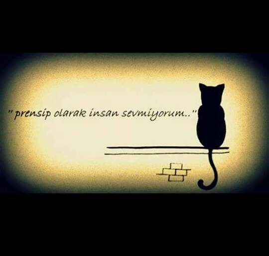 Kendini tek bir resimle, yazıyla özetler misin?