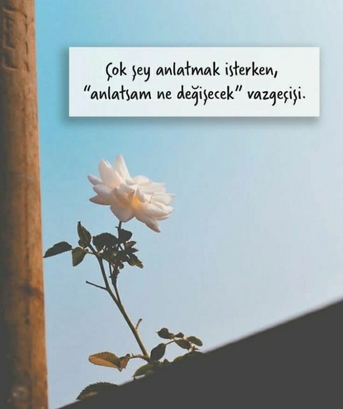 Sorun benim galiba... Bir yerde yanlışım ama nerde bilmiyorum...