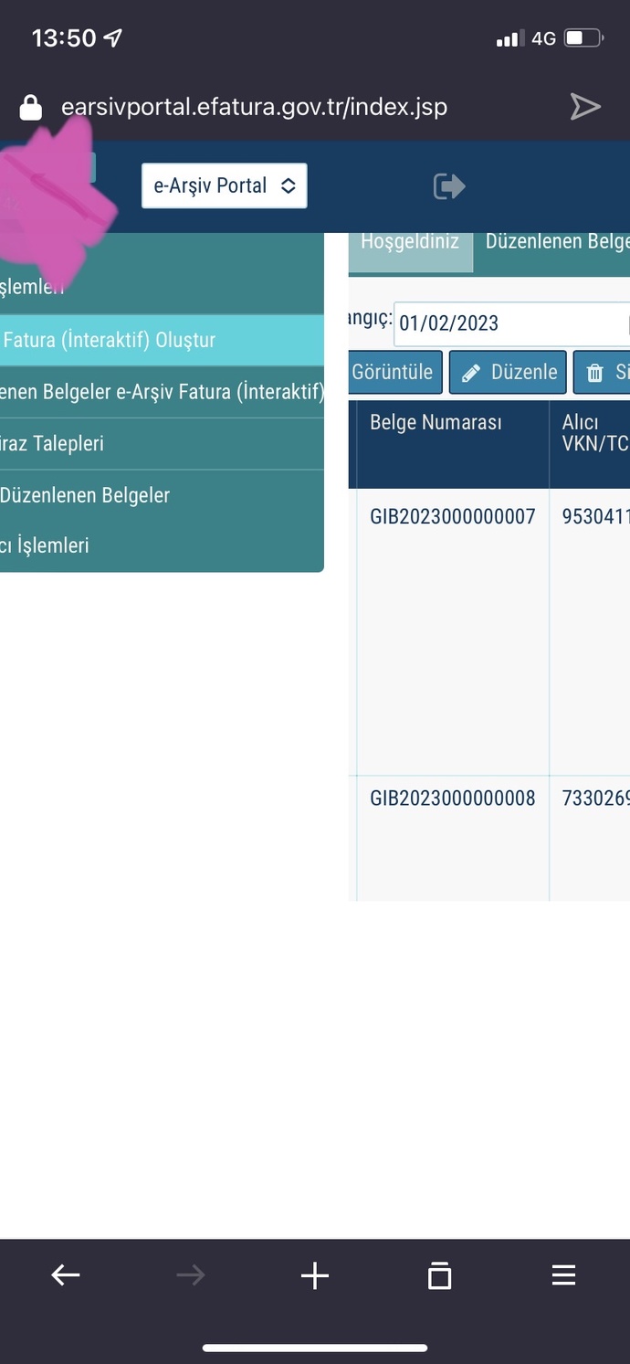 Telefonda bu ekran sıkıntısını nasıl çözerim?