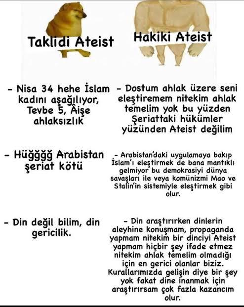 Dinsizler Neden Müslümanların Sorularına Mantıklı Cevaplar veremiyor?