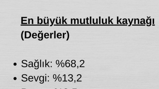 Sağlık, sevgi, başarı, para, iş bu değerlerden hangisi mutluluk kaynağın olur?