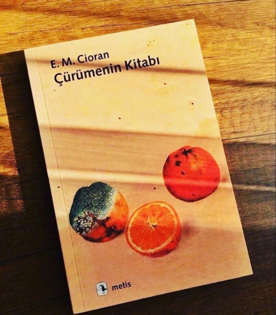 Kitap okuyan biri size ne katar?