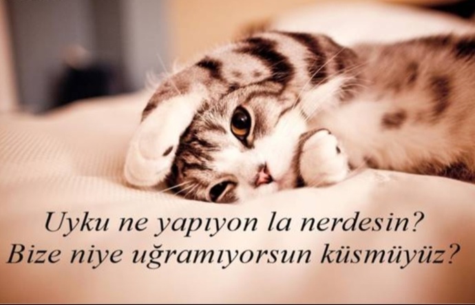 Uykuuu?