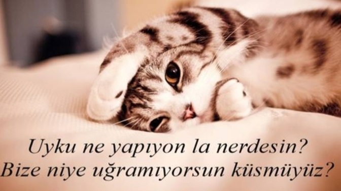 Uyumayan kalmadı mıı?
