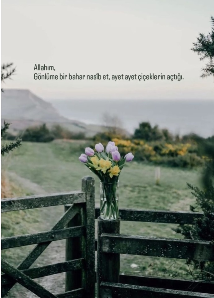 Vay anam vay dediğin şeyler neler?