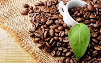Kahve çekirdeği yer misin gün içinde atıştırır mısın?