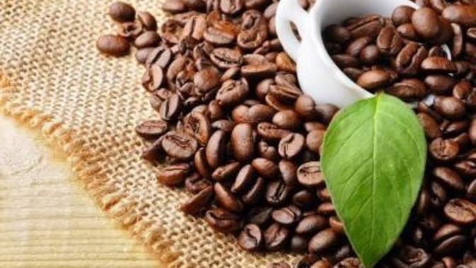 Kahve çekirdeği yer misin gün içinde atıştırır mısın?