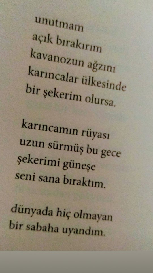 Son zamanlarda okuduğun en anlamlı şiir hangisi?